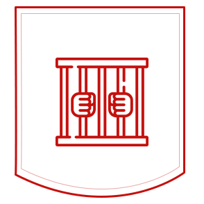 felonies